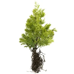 Cèdre artificiel avec racines, 17″