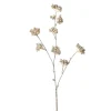 Champagne berry cluster, 32″