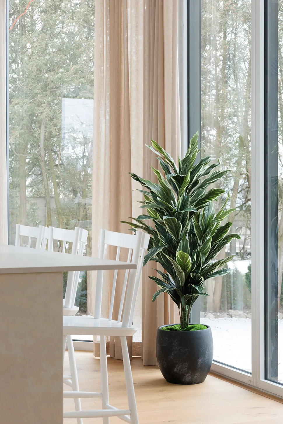 Cordyline artificielle, 57″