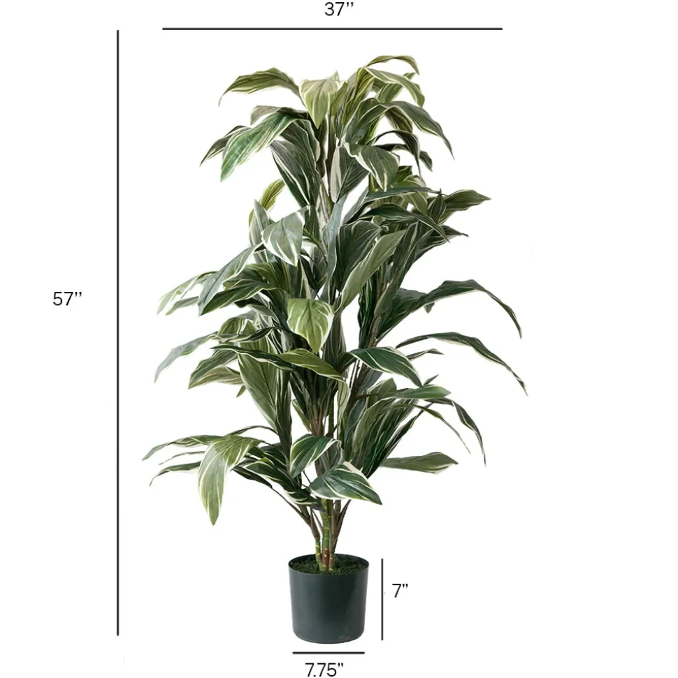 Cordyline artificielle, 57″