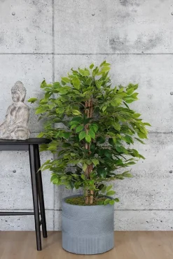 Dark grey aztec pot