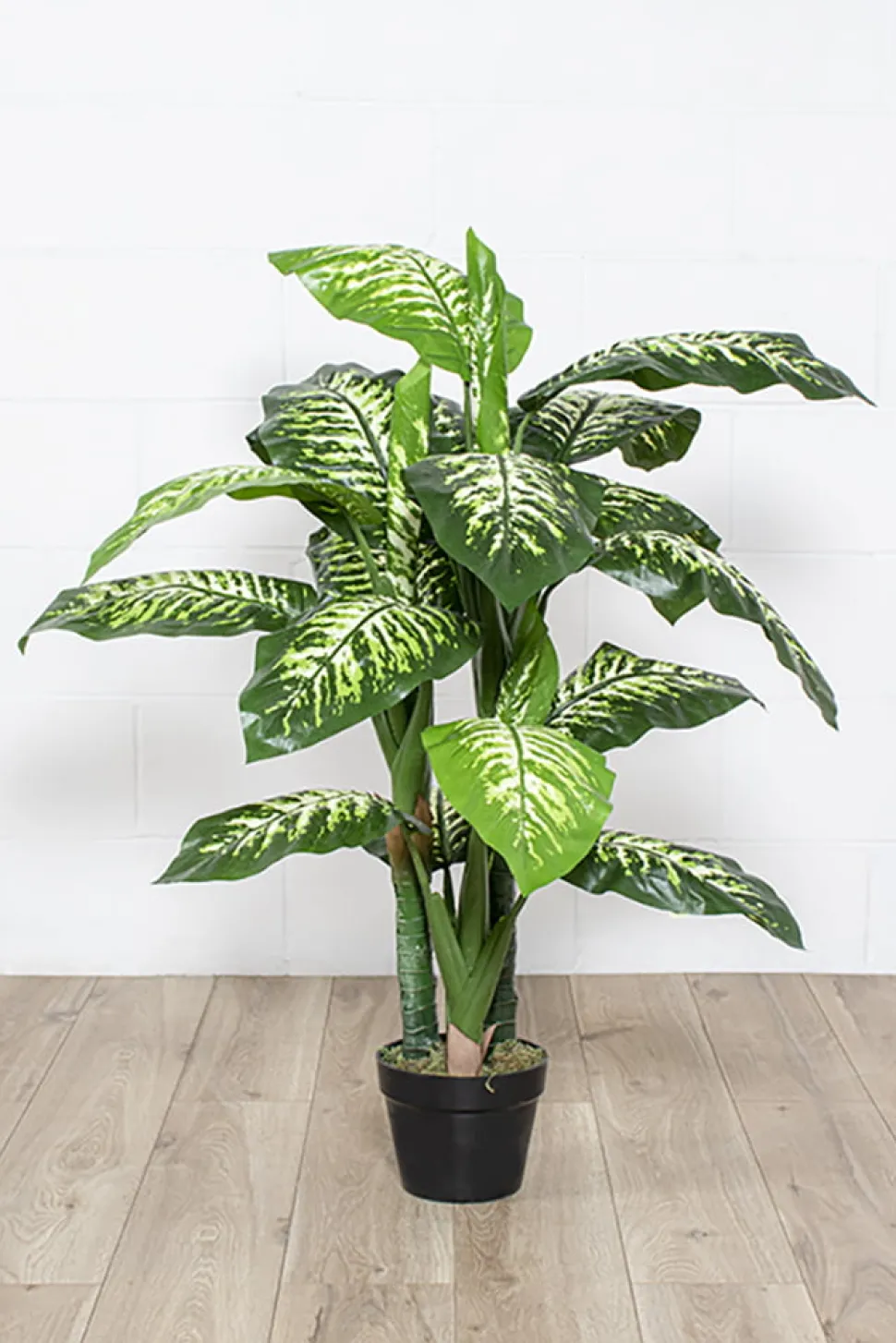 Dieffenbachia artificial outdoor plant, 48"