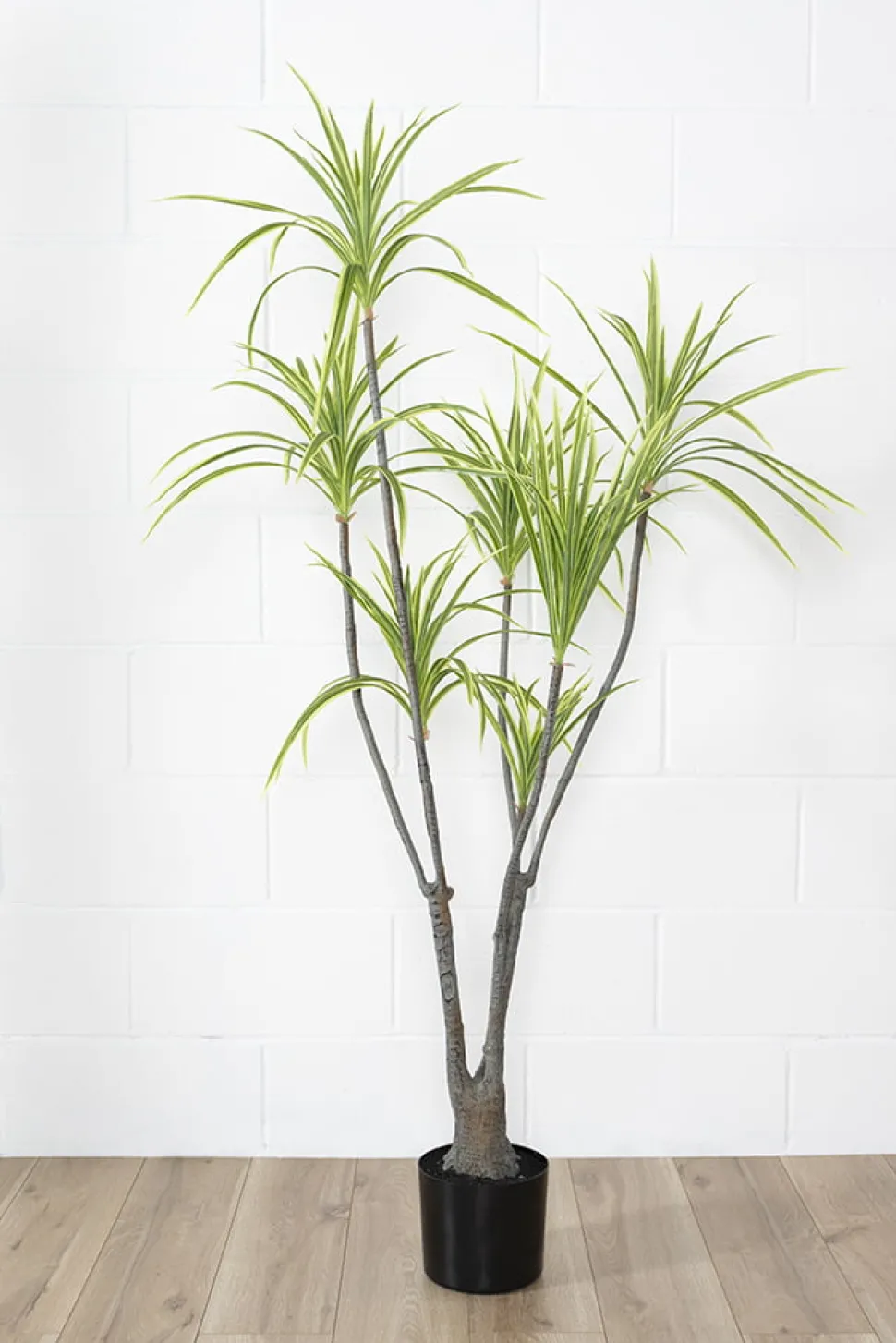 Dracaena vert artificiel, 57″
