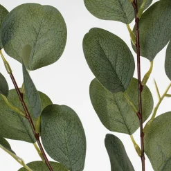 Eucalyptus vert artificiel à feuilles rondes, 26″