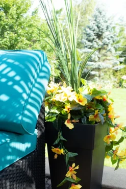 Exterior yellow hibiscus hanging bush 35″