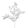 Feuillage de bouleau sur tige, 22″