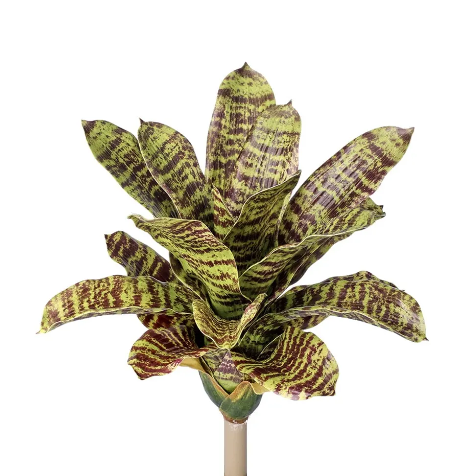 Feuillage de bromelia panaché artificiel, 15″