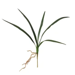 Feuillage de cymbidium artificiel, 19″