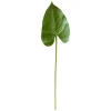 Feuille d’anthurium sur tige 17″