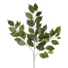 Feuilles de ficus vert artificiel