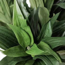 Fire-retardant green dracaena fragrans, 13"