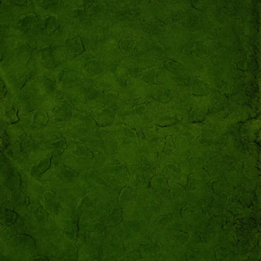 Fire-retardant green moss carpet, 79 x 39,5"