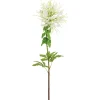 Fleur araignée blanche, 32,5″