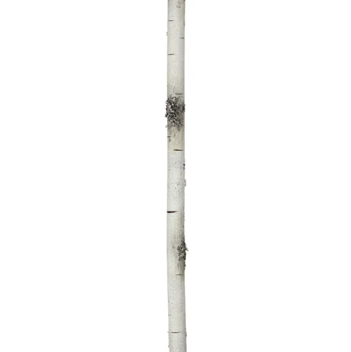 Foam birch branch garland, 72 x 1,2″