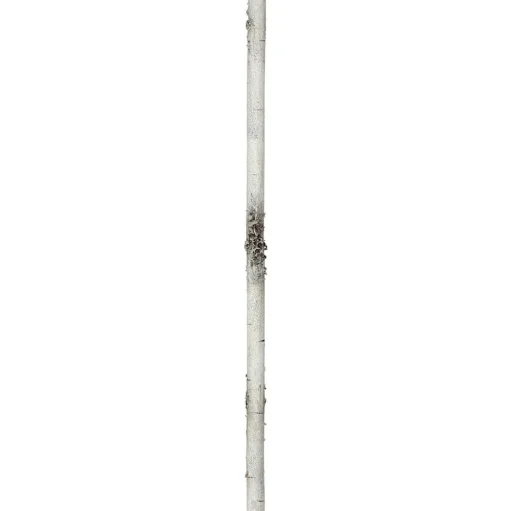 Foam birch branch garland, 72 x 0,8″