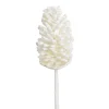 Frosted pinecone branch, 28"