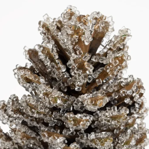 Frosted pinecone stem, 13"