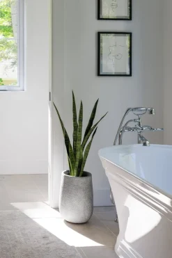 Grey embossed pot