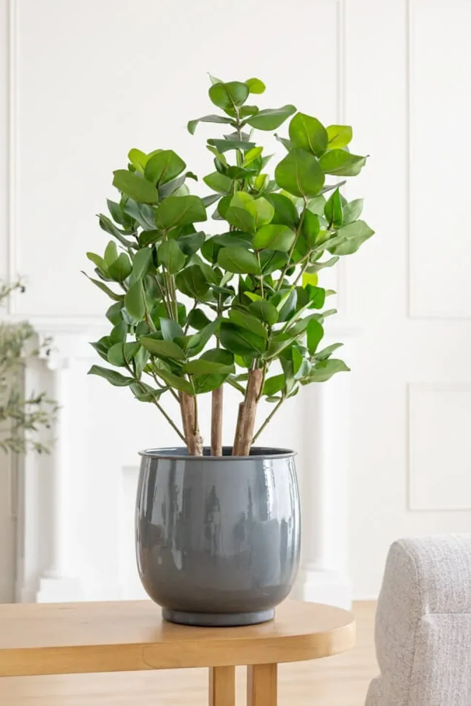 Grey round planter