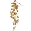 Hanging golden eucalyptus foliage, 27″