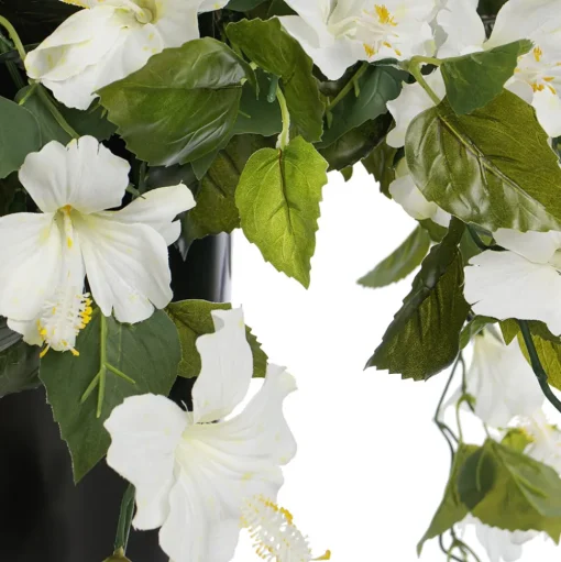 Hibiscus blanc en pot de culture noir, 28 x 20″
