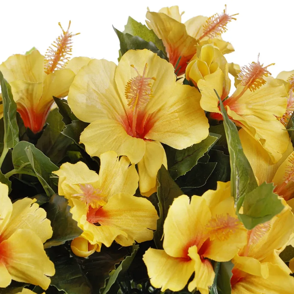 Hibiscus jaune en pot de culture noir, 28 x 20″