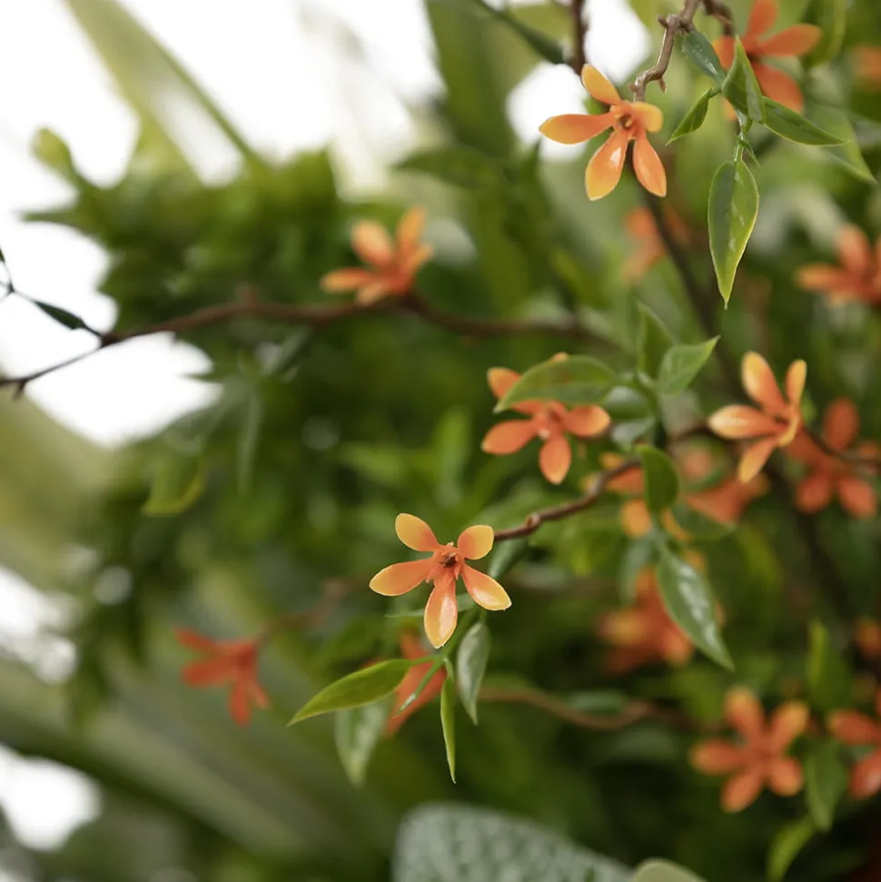 Jardinière extérieure de fleurs orange et plantes artificielles, 55″