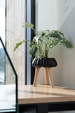 Low black standing planter, 12 x 10"