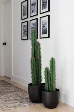 Matte black ceramic plant pot