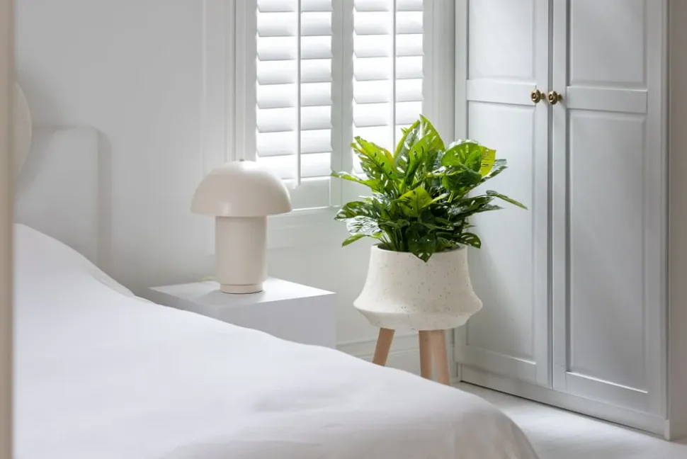 Monstera artificiel en pot terrazzo sur pied, 37 x 20″