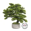 Mountain pine artificial bonsai tree
