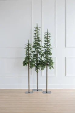 Narrow alpine fir on stand, 72