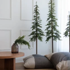 Narrow alpine fir on stand, 72