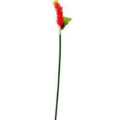 Orange Heliconia Stem With Greenery