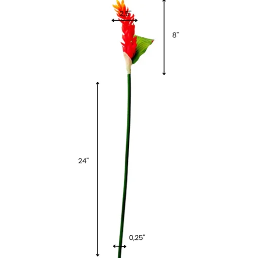 Orange Heliconia Stem With Greenery