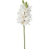 Orchidée cymbidium blanche artificielle, 27″