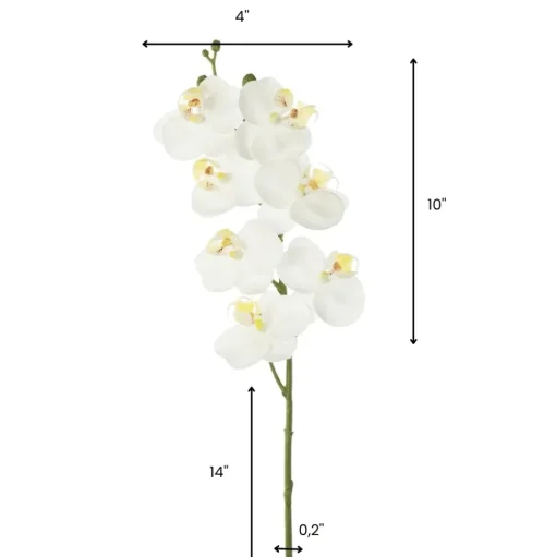 Orchidée phalaenopsis blanche artificielle, 24″