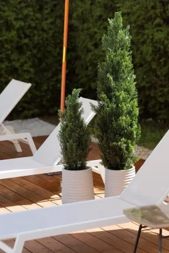 Outdoor artificial cedar shrub, 60″