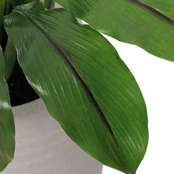 Outdoor artificial curcuma in a grey terrazzo beige pot, 30 x 16