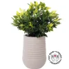 Outdoor artificial ficus topiary in a grey terrazzo beige pot, 28 x 16"