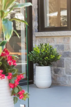 Outdoor artificial ficus topiary, 24"