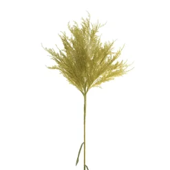 Pampas vert, 51″