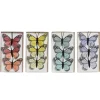 Papillons en plastique coloré, 2,5 x 3″