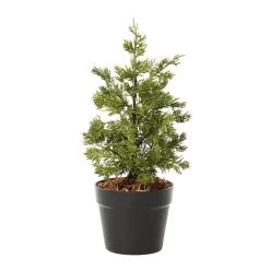 Petit cèdre artificiel en pot, 17 x 7″