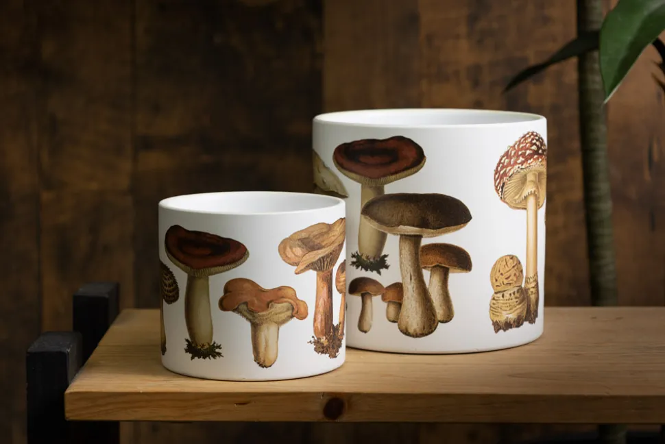 Petit pot décoratif à motif de champignons, 4,5″