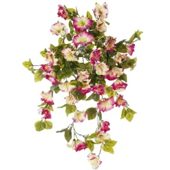 Pink and white outdoor trailing petunia