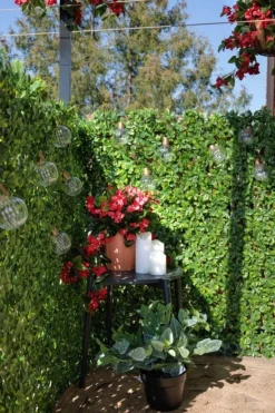 Plant de fittonia artificiel en pot, 16 x 11″