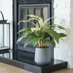 Plante artificielle, cordyline au toucher réel, 28″