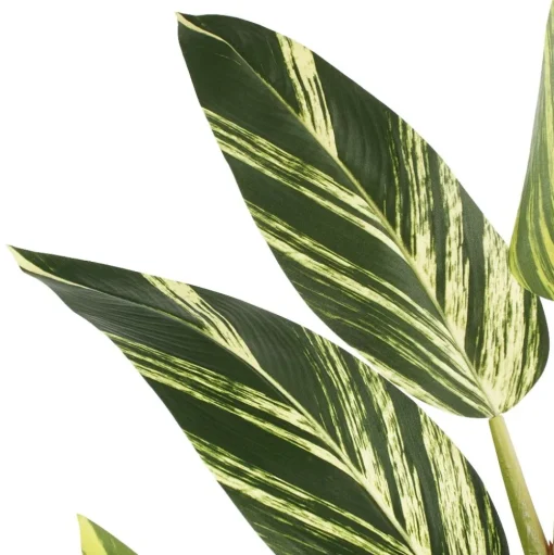 Plante artificielle d’alpinia vittata, 63″