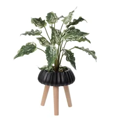 Plante artificielle maranta en pot sur pied, 28 x 22″